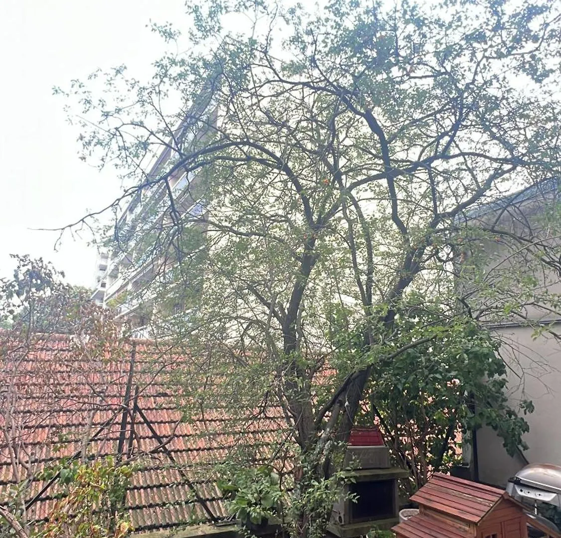 New Apartment In Paryż 0*,  Francja